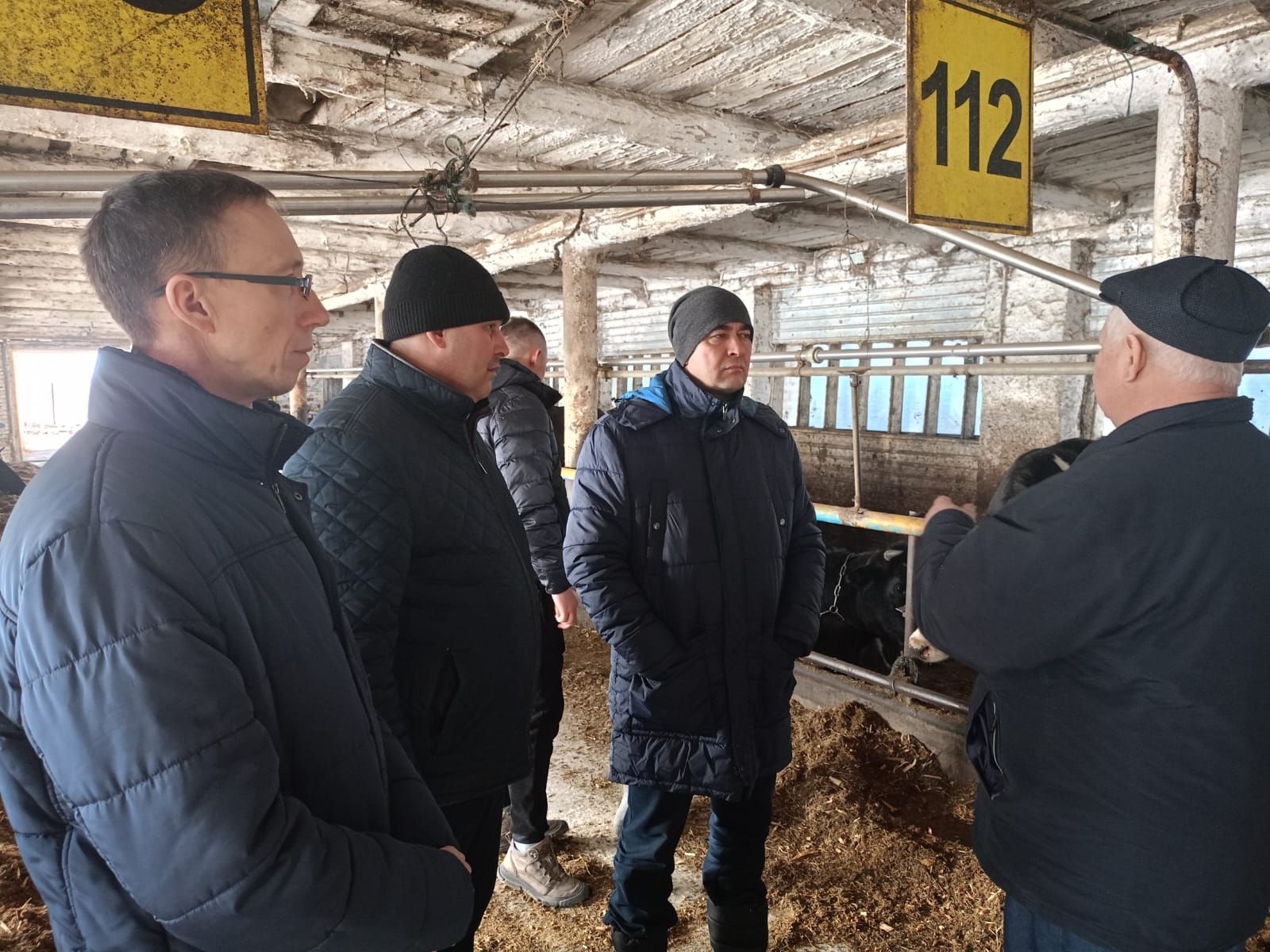 Буа районы фермаларына токымлы таналар кайтартылды