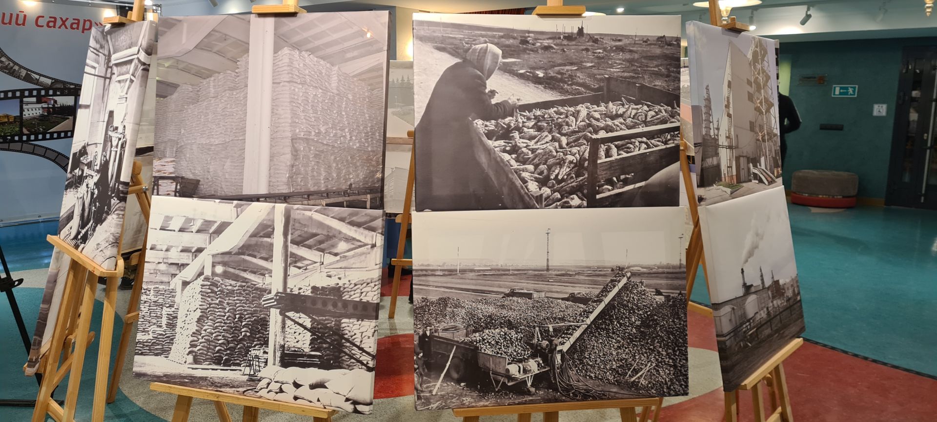 Буинский сахарный завод отметил 65-летний юбилей (фото, видео)