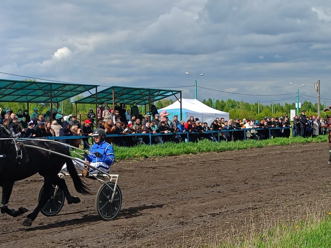 В Буинске по случаю 80-летия Великой Победы прошли конные скачки (+фото, видео)