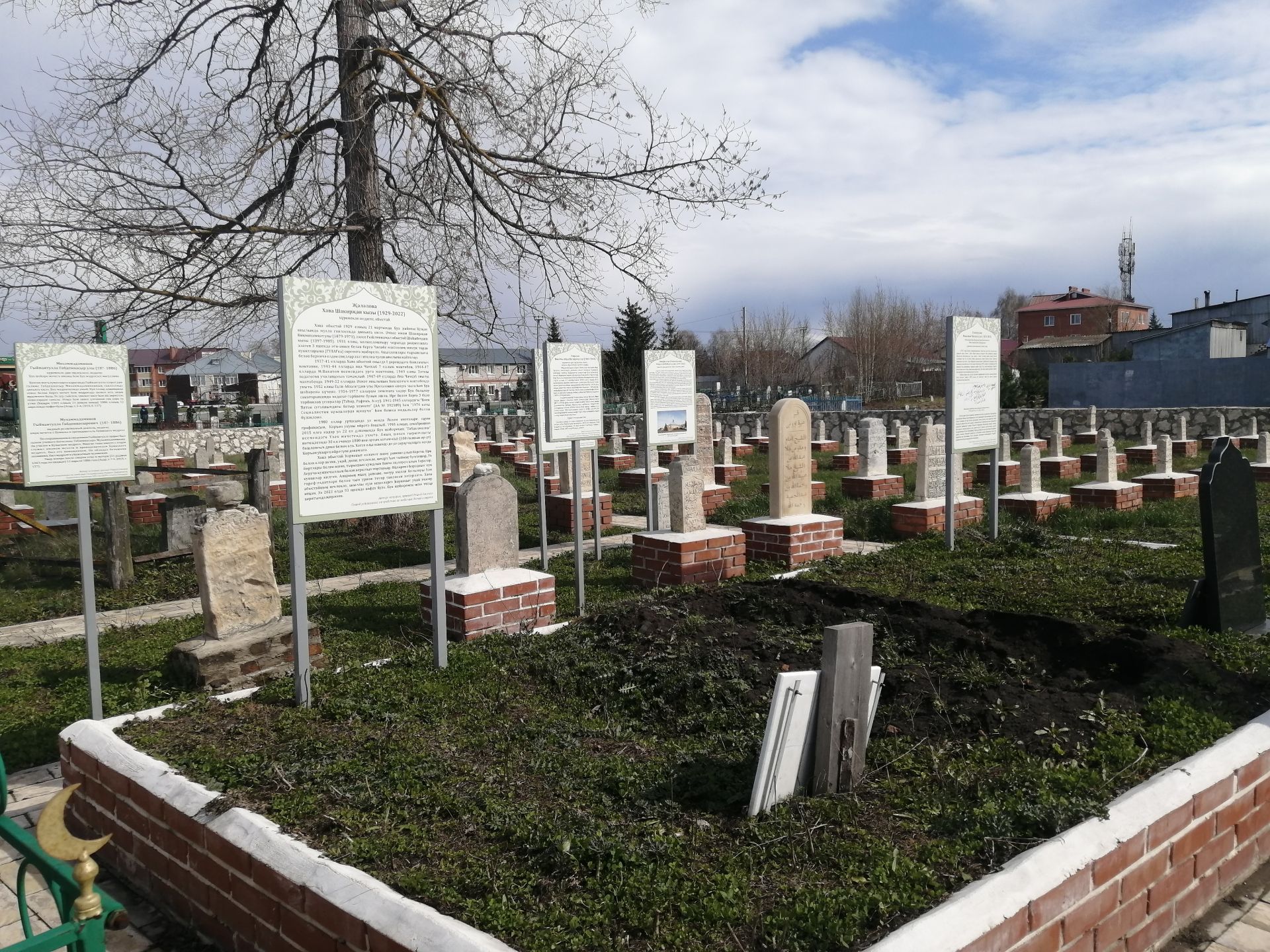 В Буинске кедры подаренные земляками, были высажены в окрестностях старого татарского кладбища