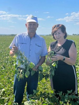 Буа районы агрономы  республиканың фән һәм техника өлкәсендәге мәртәбәле бүләгенә лаек