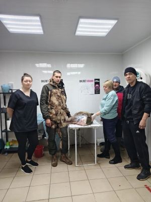 В Буинске развернулась драматическая история, которая едва не обернулась трагедией для молодой косули