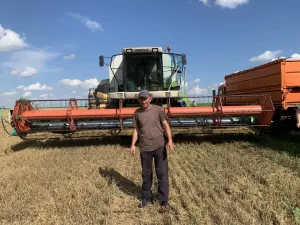 На полях деревни Энтуганы  агрофирмы «Заря» Буинского района озимая пшеница  уродилась