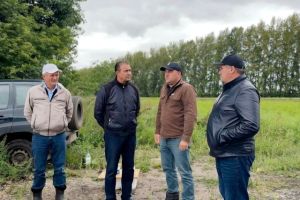 Глава Буинского района Ранис Камартдинов оценил состояние полей сахарной свёклы