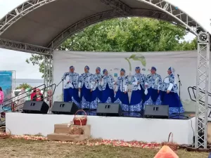Таланты Буинского района отмечены наградами на празднике «Яблочный Спас»