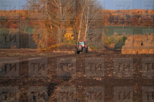 Метеоролог КФУ: Осень в Казани стала теплее на полградуса за десять лет
