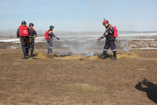 Из-за высокой пожароопасности лесов в Татарстане вновь объявили штормовое предупреждение