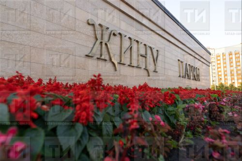 Җиңү паркында махсус хәрби операциягә багышланган зона булдырылачак