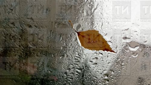 Выходные в Татарстане начнутся с сильного ветра, дождя и 22 градусов тепла