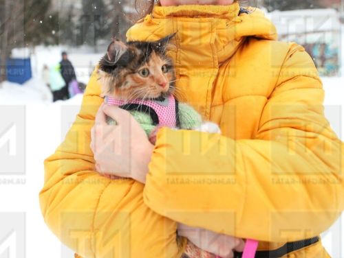 Прогноз погоды в Татарстане до 8 марта: ожидается мороз до -19°С