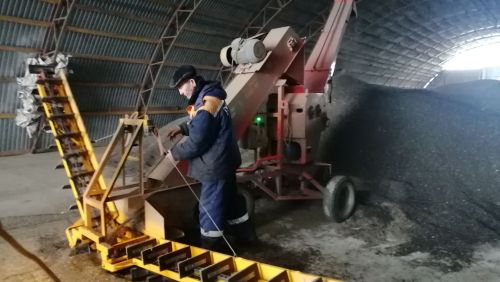 В Буинске комбайны вышли  в поле. В фермерских хозяйствах убирают подсолнух (фоторепортаж, видео)