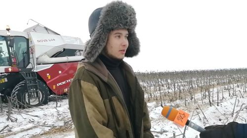 В Буинске комбайны вышли  в поле. В фермерских хозяйствах убирают подсолнух (фоторепортаж, видео)