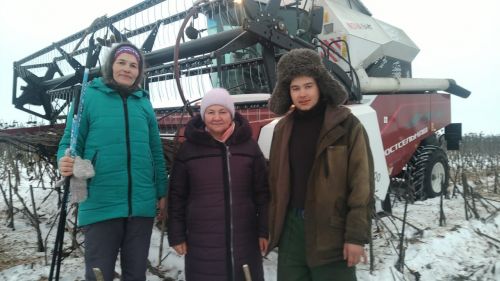 В Буинске комбайны вышли  в поле. В фермерских хозяйствах убирают подсолнух (фоторепортаж, видео)
