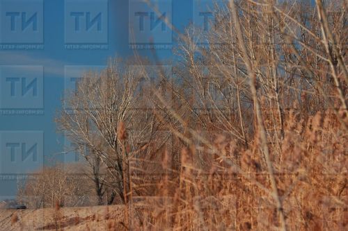 Татарстанцам пообещали теплые выходные