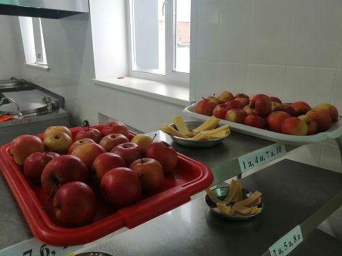 В Буинске родители контролируют питание школьников (фото)