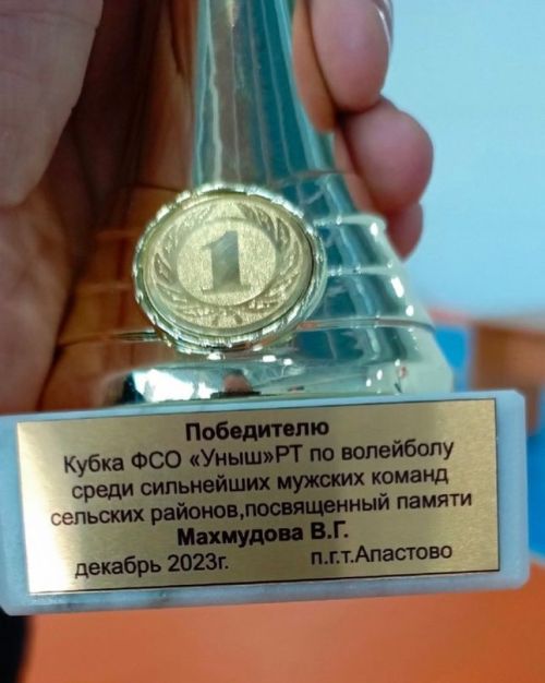 Буинцы одержали победу на турнире по волейболу памяти Видади Махмудова
