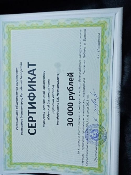 Первичная ветеранская организация Буинского района заняла первое место в республиканском конкурсе (+фото)