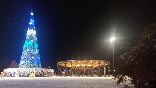 Определены входы в Центральный парк в  новогодние праздничные дни