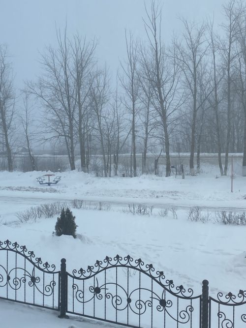 Татарстанда бу атна томан, кар һәм -15 градус салкын белән тәмамланачак