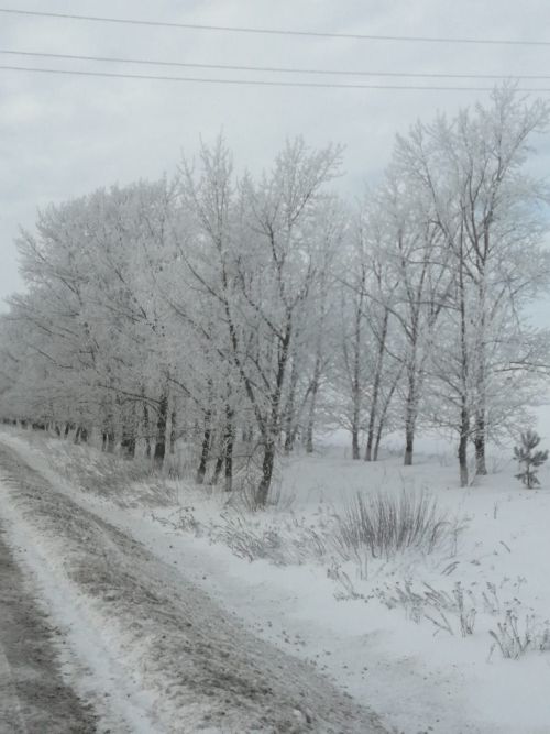 МЧС напомнили татарстанцам о мерах безопасности в грядущие морозы