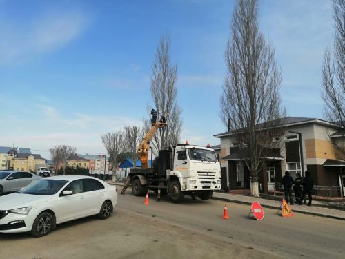 В Буинске начали спиливать верхушки высоких деревьев (фото, видео)