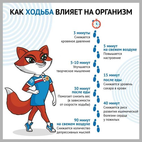 Ходьба вместо лекарств — польза ходьбы и пеших прогулок!