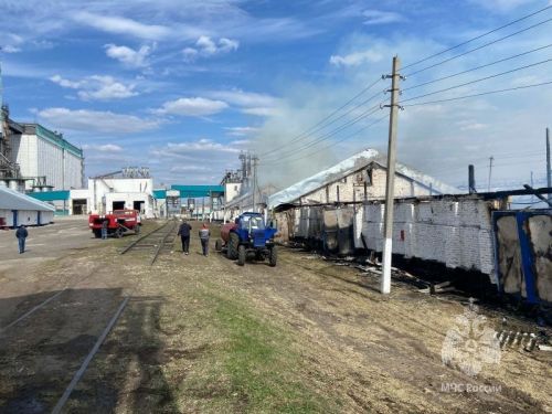 Подробности сегодняшнего пожара на Буинском элеваторе (+фото)