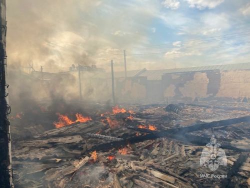 Подробности сегодняшнего пожара на Буинском элеваторе (+фото)
