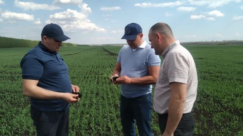 Глава района Ранис Камартдинов знакомится с ходом полевых работ (+фото)