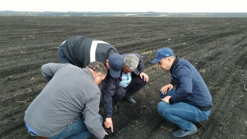 Глава района Ранис Камартдинов знакомится с ходом полевых работ (+фото)
