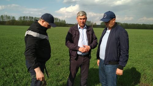 Глава района Ранис Камартдинов знакомится с ходом полевых работ (+фото)