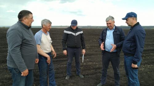 Глава района Ранис Камартдинов знакомится с ходом полевых работ (+фото)