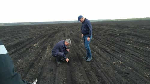Глава района Ранис Камартдинов знакомится с ходом полевых работ (+фото)