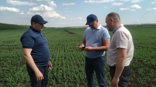 Глава района Ранис Камартдинов знакомится с ходом полевых работ (+фото)