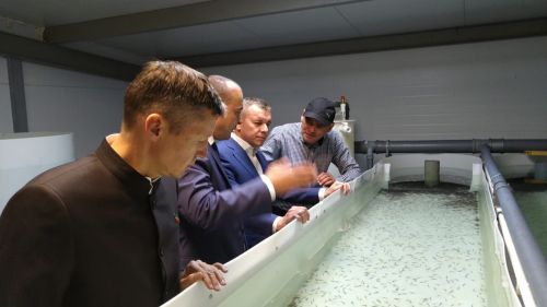 В промышленном  парке Буинска открылась ферма по разведению и выращиванию форели  (ФОТО, ВИДЕО)