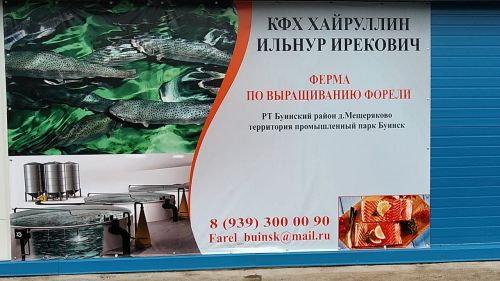 В промышленном  парке Буинска открылась ферма по разведению и выращиванию форели  (ФОТО, ВИДЕО)