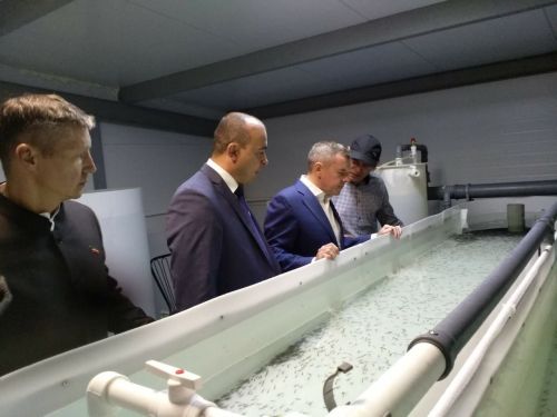 В промышленном  парке Буинска открылась ферма по разведению и выращиванию форели  (ФОТО, ВИДЕО)