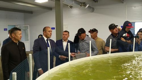 В промышленном  парке Буинска открылась ферма по разведению и выращиванию форели  (ФОТО, ВИДЕО)