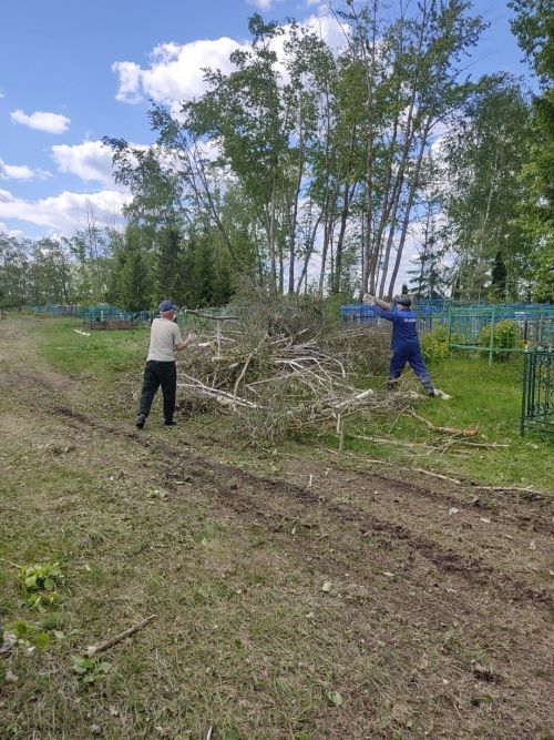 Жители деревни Вольный Стан Буинского района провели уборку на кладбище (+фото)
