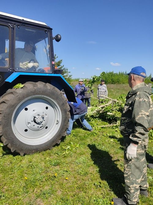 Жители деревни Вольный Стан Буинского района провели уборку на кладбище (+фото)