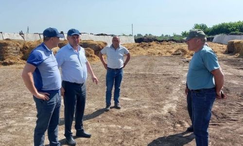 В Буинске начался сенокос