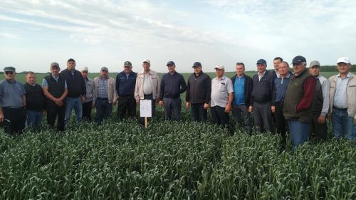 В Буинском районе продолжается приемка полей (ВИДЕО)