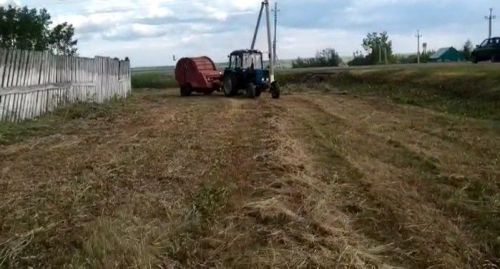 Зяббаров назвал районы Татарстана, лидирующие и отстающие в заготовке кормов