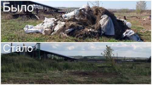 Свалка в Буинском районе устранена по предостережению экологов