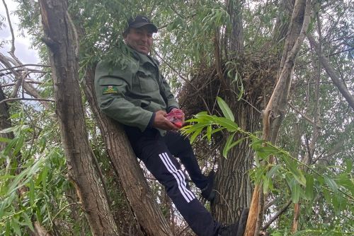 Буа районының  “Зөя буйлары” заказнигы начальнигы Фаил Галиев карчыга гаиләсенең көнкүрешен күзәтә