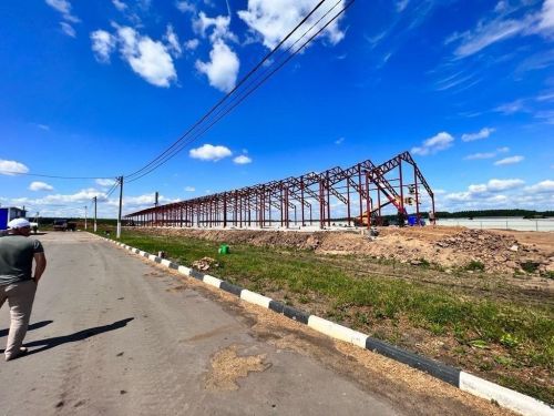 В Буинске начинается строительство «роддома для коров»