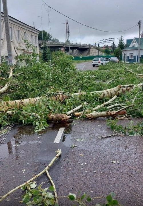 В Татарстане ураган и град снесли деревья, крыши и повредили урожай