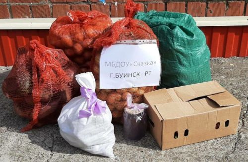 В Буинске дошкольники вырастили овощи для бойцов спецоперации