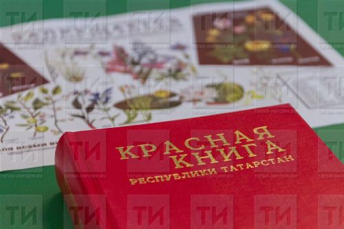 Дети Буинска, участвуйте в конкурсе «Я и Красная книга»