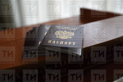 Буинцы, получить паспорт через портал удобно